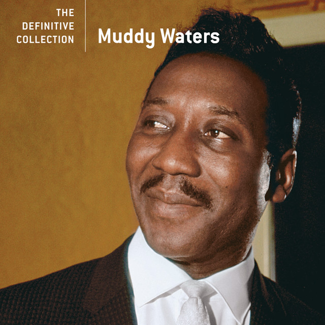 کاور آهنگ I Just Want To Make Love To You از Muddy Waters