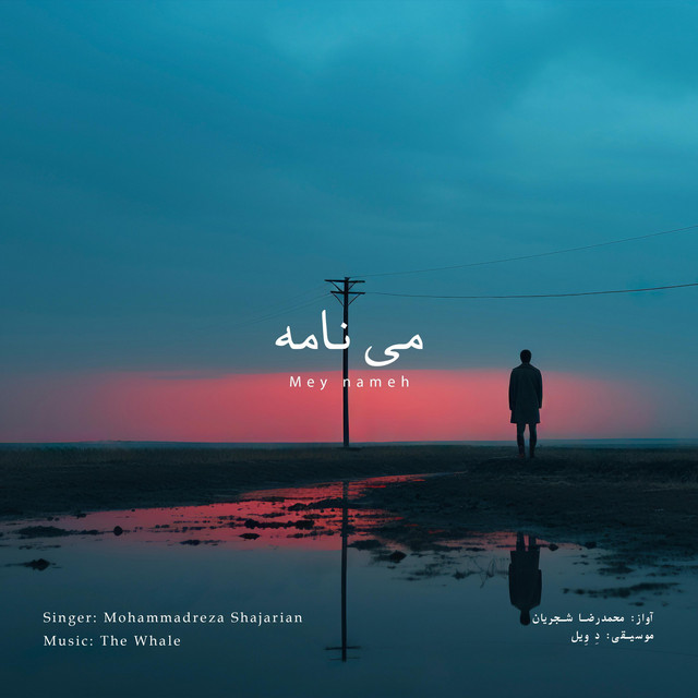 کاور آهنگ می نامه - بازآفرینی اثر محمدرضا شجریان از دِ وِیل