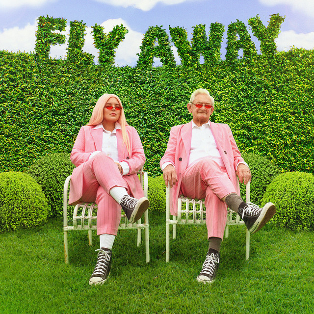 کاور آهنگ Fly Away از Tones And I