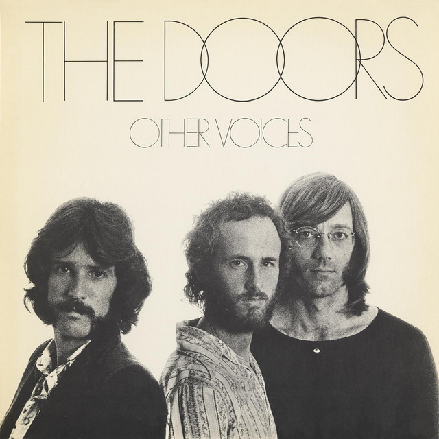 کاور آهنگ Wandering Musician از The Doors