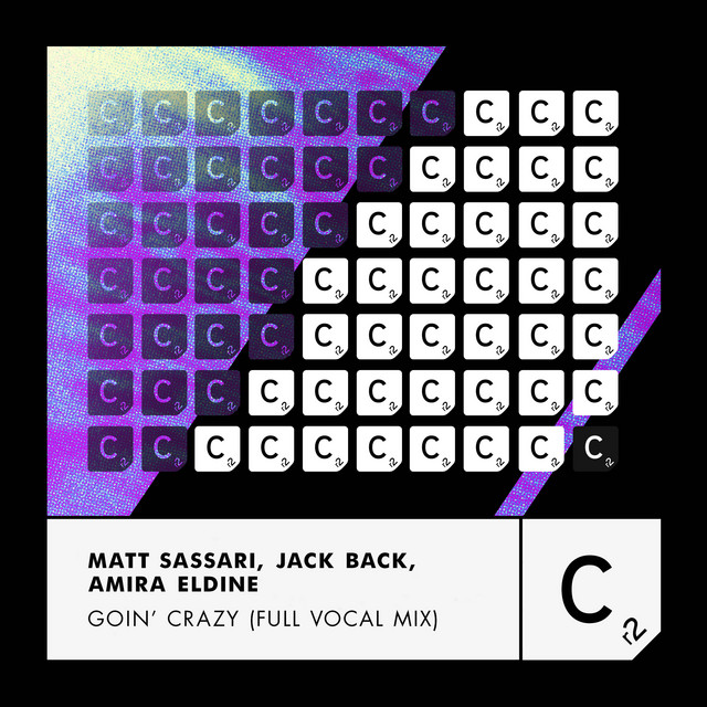 کاور آهنگ Goin' Crazy - Full Vocal Mix از David Guetta, Jack Back, Matt Sassari