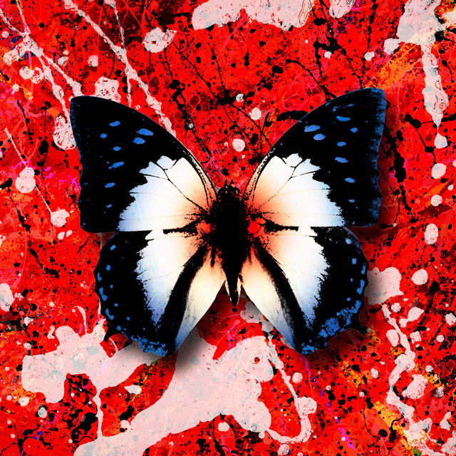 کاور آهنگ 2step (feat. Budjerah) از Ed Sheeran, Budjerah