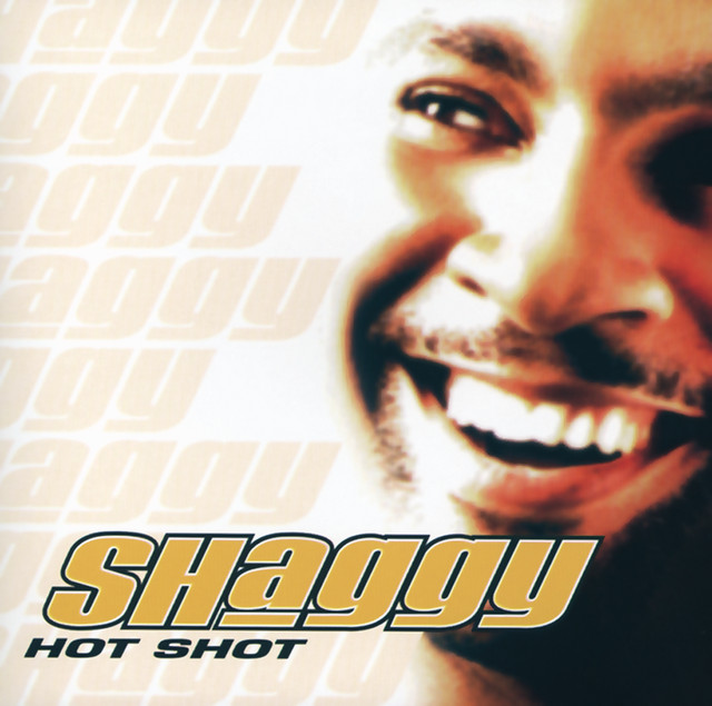 کاور آهنگ Hope از Shaggy