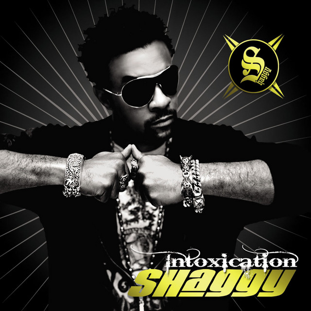 کاور آهنگ Holla At You از Shaggy