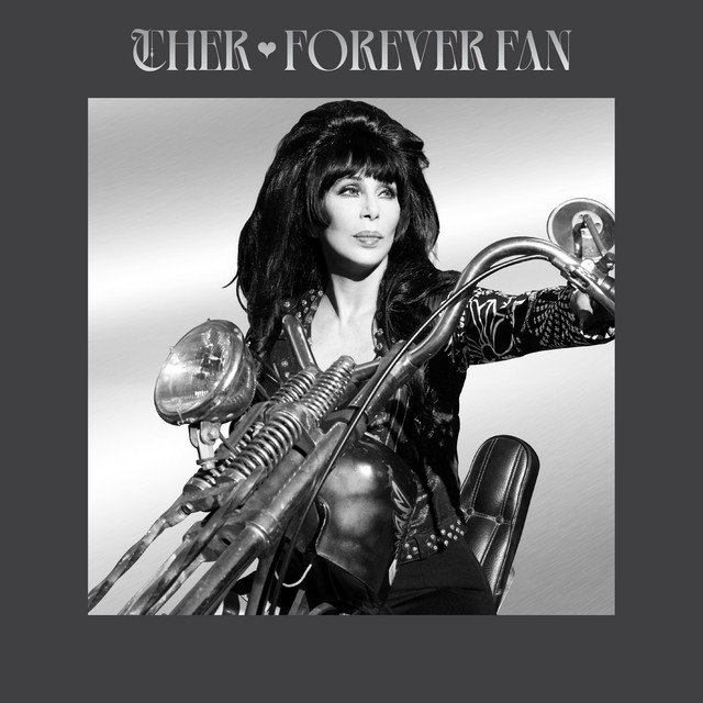 کاور آهنگ I Hope You Find It - 2024 Remaster از Cher