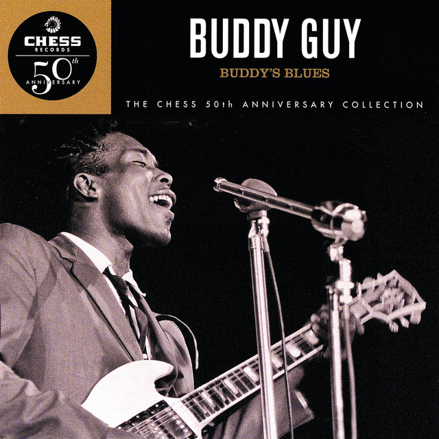 کاور آهنگ She Suits Me To A Tee از Buddy Guy