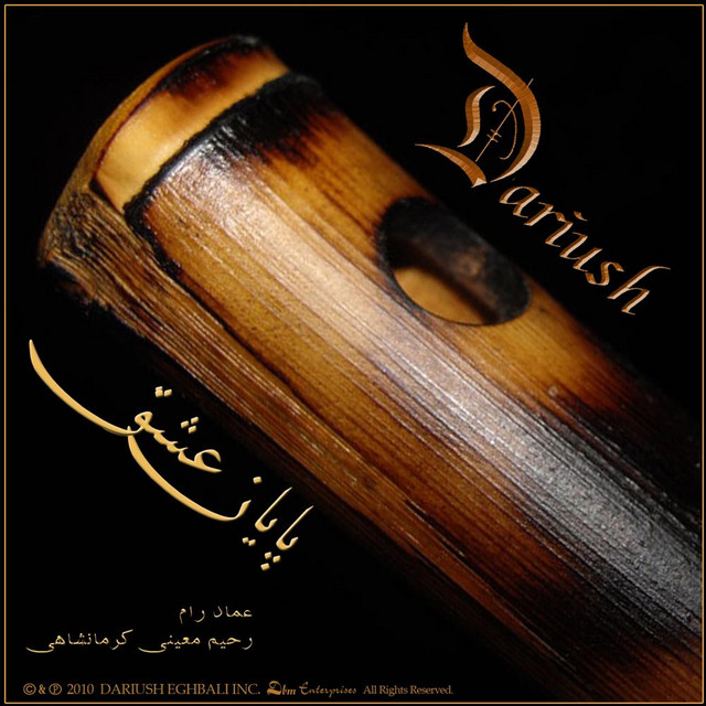کاور آهنگ پایان عشق از داریوش