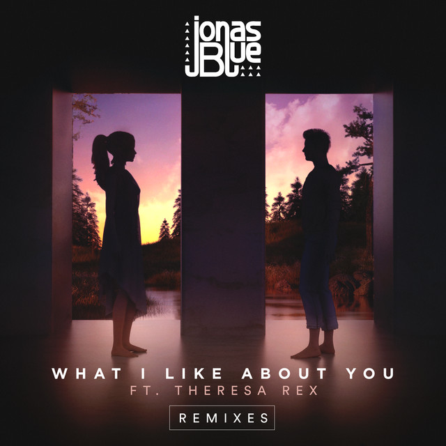 کاور آهنگ What I Like About You - Syn Cole Remix از Jonas Blue, Syn Cole