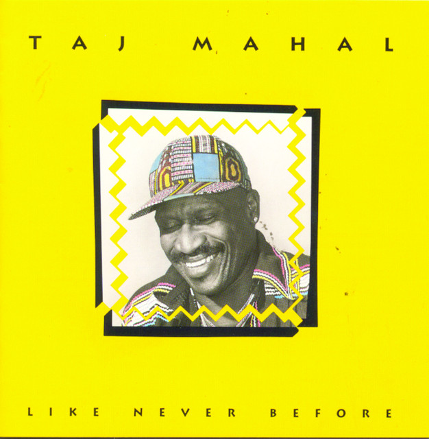 کاور آهنگ Don't Call Us از Taj Mahal