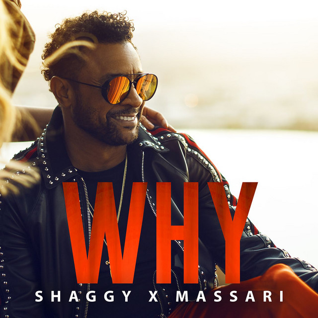 کاور آهنگ Why از Massari, Shaggy