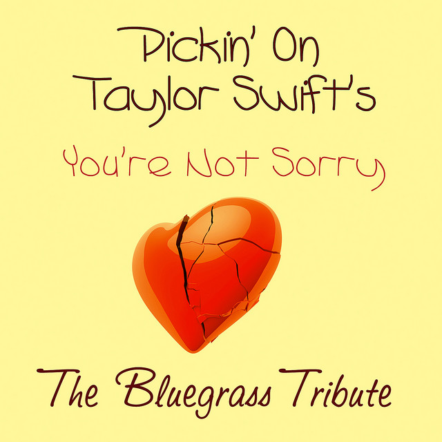 کاور آهنگ You're Not Sorry از Pickin' On Series