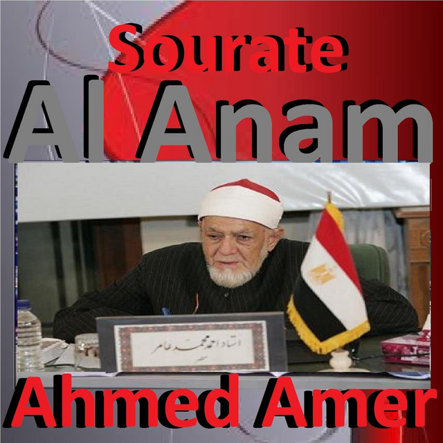 کاور آهنگ Sourate Al Anam, Pt. 1 از Ahmed Amer