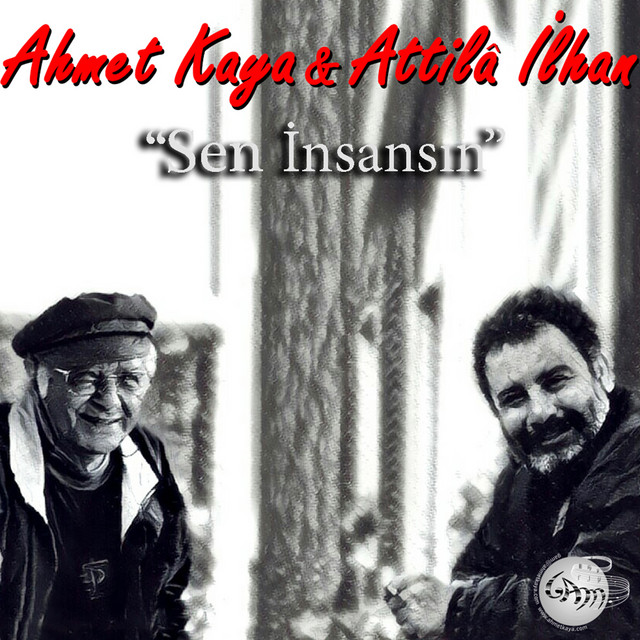کاور آهنگ Ah!.. از Ahmet Kaya