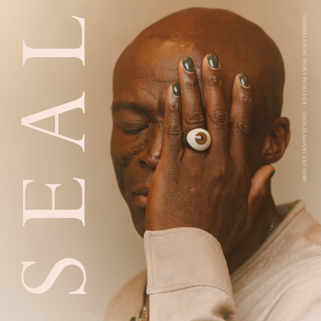 کاور آهنگ AIKIN (All I Know Is Now) از Seal