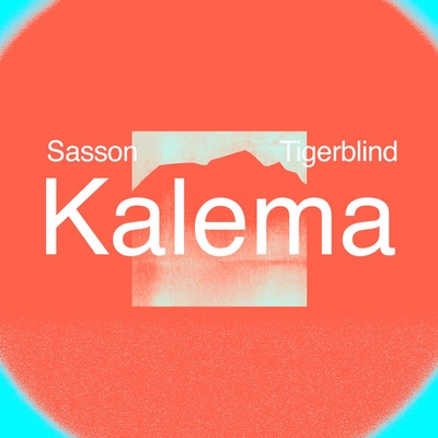 کاور آهنگ Kalema - Extended Mix از Sasson (FR), Tigerblind