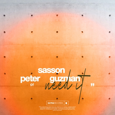 کاور آهنگ Need It از Sasson (FR), Peter Guzman