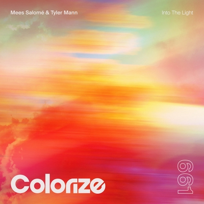 کاور آهنگ Into The Light از Mees Salome, Tyler Mann