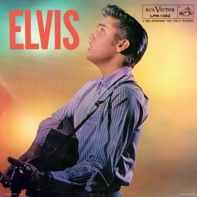 کاور آهنگ Paralyzed از Elvis Presley