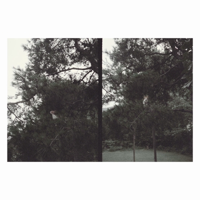 کاور آهنگ crows over my shoulder (take me) از Okkyung Lee