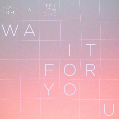 کاور آهنگ Wait for you از Calcou, Mellowdine