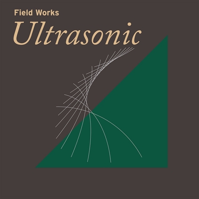 کاور آهنگ Dusk Tempi از Field Works, Kelly Moran, Eluvium