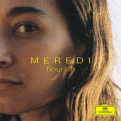 کاور آهنگ Ararat از Meredi