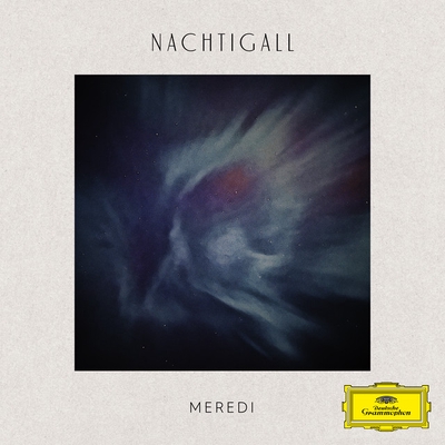 کاور آهنگ Nachtigall - piano version از Meredi