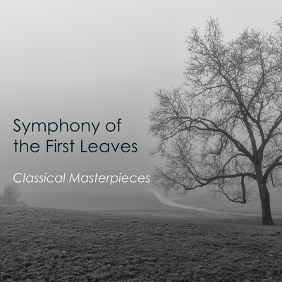 کاور آهنگ Fantasia in C Major, H. 291: I. Presto di molto از Johann Sebastian Bach, Frederic Chopin, Pyotr Ilyich Tchaikovsky, George Frideric Handel, Wolfgang Amadeus Mozart, Franz Schubert, Robert Schumann, Carl Philipp Emanuel Bach, Ludwig van Beethoven, Claude Debussy, Antonio Vivaldi, Marc-Andre Hamelin