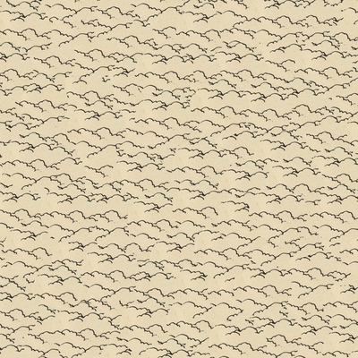 کاور آهنگ By از HNNY