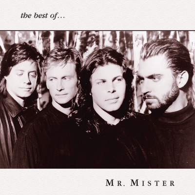 کاور آهنگ Run To Her از Mr. Mister
