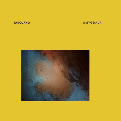 کاور آهنگ Amygdala از JakoJako