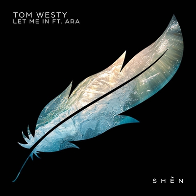 کاور آهنگ Let Me In (feat. ARA) از Tom Westy, ARA