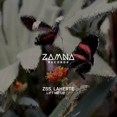 کاور آهنگ LOSING MY MIND از ZSS, Laherte