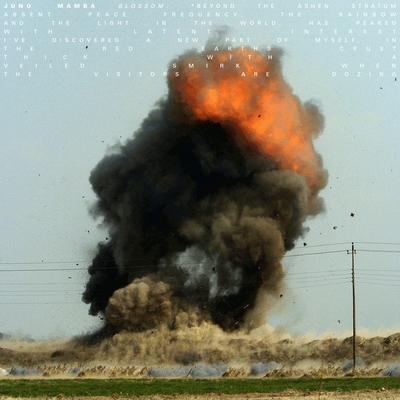 کاور آهنگ Blossom - Edit از Juno Mamba