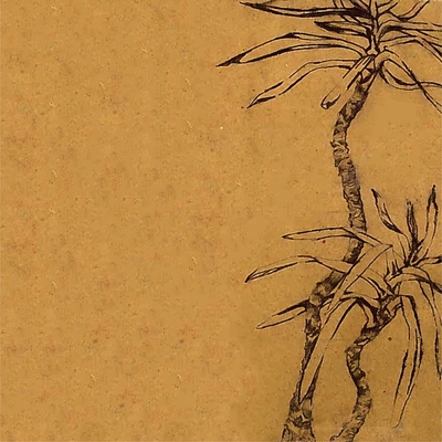 کاور آهنگ Aire از Joaquin Cornejo, Felipe Cornejo