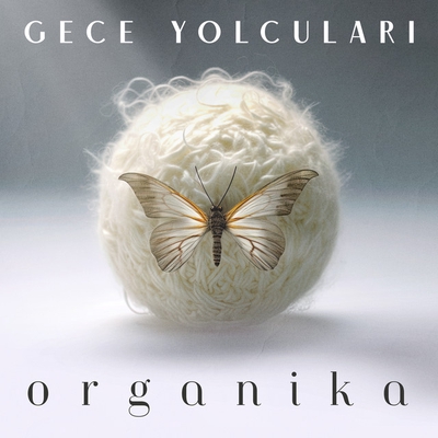 کاور آهنگ Olum de Var (feat. Safiye) - Akustik از Safiye, Gece Yolculari