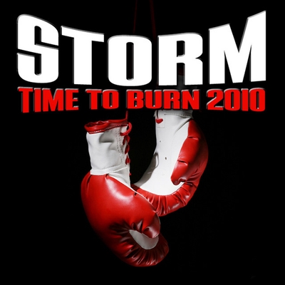 کاور آهنگ Time To Burn - Rowald Steyn Radio Edit از Storm, Rowald Steyn