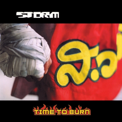 کاور آهنگ Time To Burn - Mauro Picotto Mix از Mauro Picotto, Storm