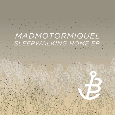 کاور آهنگ Someone To Take Me Home - Christopher Schwarzwalder Remix از Christopher Schwarzwalder, Madmotormiquel