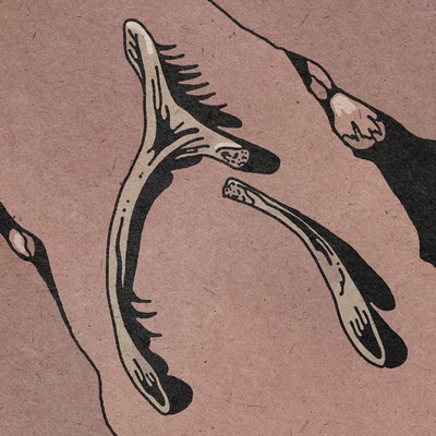 کاور آهنگ Bones از Janus Rasmussen