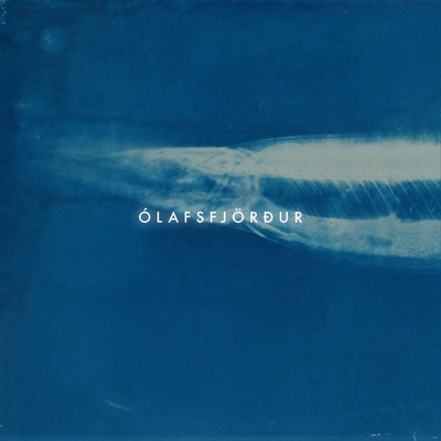 کاور آهنگ Fjallableikja از Passepartout Duo, Christopher Salvito