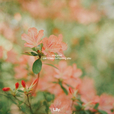 کاور آهنگ Can't Help But Loving You - Chill Mix از Alex Adair