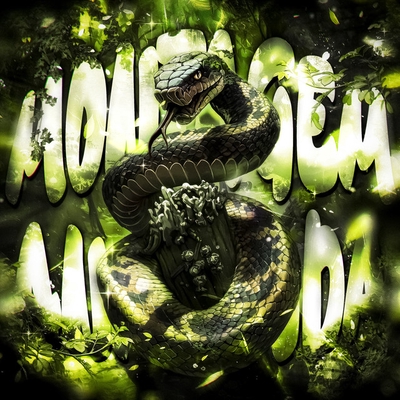 کاور آهنگ MONTAGEM ANACONDA - Slowed از SICXRIUS