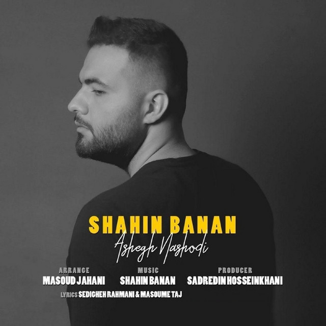 کاور آهنگ عاشق نشدی از شاهین بنان