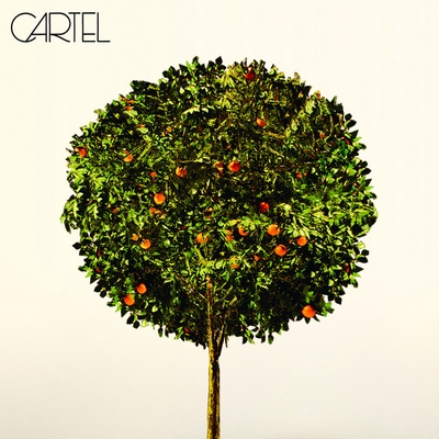 کاور آهنگ If You Do, If You Don't از Cartel