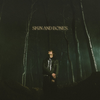 کاور آهنگ Skin and Bones - (Radio Edit) از David Kushner