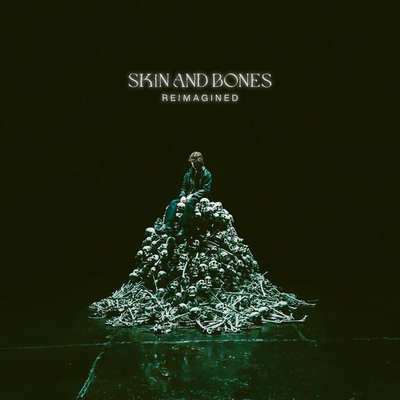 کاور آهنگ Skin and Bones - Sped Up از David Kushner