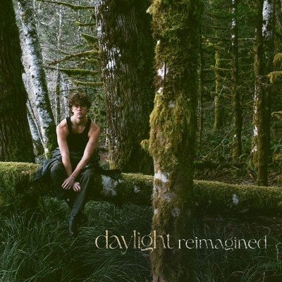 کاور آهنگ Daylight - Cinematic از David Kushner