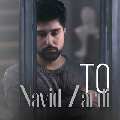 کاور آهنگ Bro از Navid Zardi, BANA