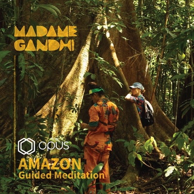 کاور آهنگ Amazon: Instrumental Meditation از Madame Gandhi, Calanoa Amazonas, OPUS